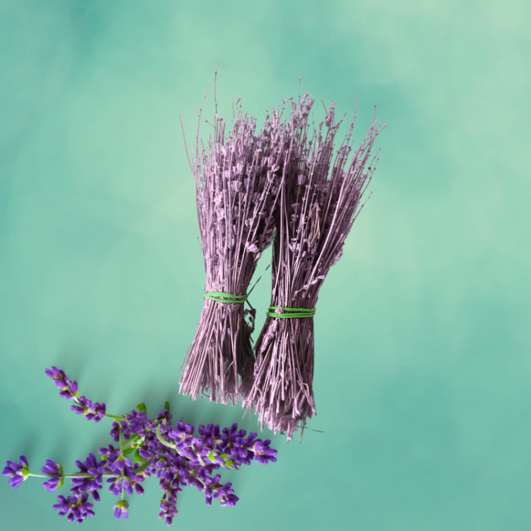 39.png